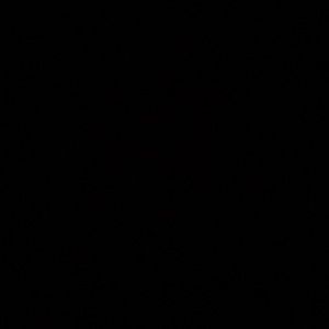 Meet your Posher, Modesty